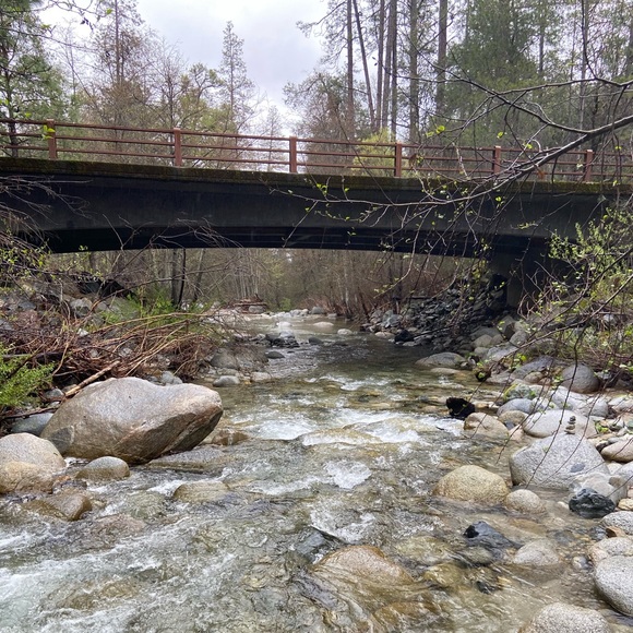 Meet your Posher, Drew - Picture 10 of 10